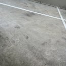 파스쿠찌 부산하단오거리점 이미지