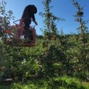 이태영농장 이미지