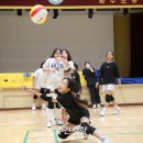 와수초등학교 이미지