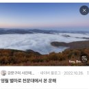 영월읍-8(연하계곡6) | 8월의 영월 (2) 행운이 넘쳤던 날(성덕되다)