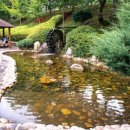 안양목장 | [지방소멸시대 극복현장을 가다(6)/ 힐링이 필요할 때, 화순군(2)] 성별ㆍ세대 불문 인기↑…숨은 가족...