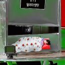 수정-101 이미지