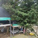 제일민박 | [계곡 4탄/여름휴가/ 괴산 쌍곡계곡/제일민박 평상]