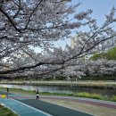 차연농산