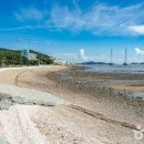 농어촌체험휴양마을(느리실체험관) | 단풍 사진 명소 오산버드파크 가족 나들이 가이드 종현농어촌체험휴양마을 갯벌체험(+위치 예매방법)