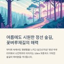 벼루재길 이미지