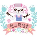딸기애견미용실 이미지