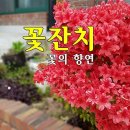 민들레드론영상