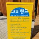 퍼피랜드애견카페 이미지