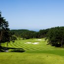 샌드파인 골프클럽 이미지