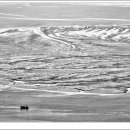 포토갤러리 이미지