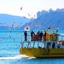 여행마루 - 연수구 경원대로 184 | 여행마루