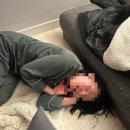 주담화 이미지