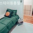 스테이나무 이미지