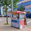 호두텔레콤