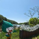 편백더힐링 | 피톤치드 가득한 숲길 걷기, 새소리가 아름다운 천마산 편백 산림욕장 힐링 후기