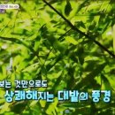 들얼농장 이미지