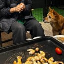 뭉개뭉개인강릉 이미지