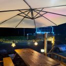 숲속통나무 이미지