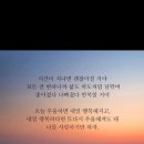 송정서핑 베어브라더