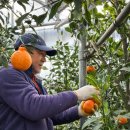 대은농장 이미지