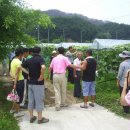 수림농장 이미지