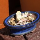 친정집민박 이미지