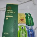 (주)티에스트릴리온 | [진짜 후기] TS 그린 프로폴리스 샴푸 강력 추천: 탈모, 비듬 효과