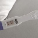 봄빛산부인과의원 | 임신일기1 :: 임신 4주차 임신초기증상 / 쌍각자궁 / 하트모양 / 5주차 아기집 안양 봄빛병원 첫 진료