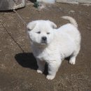 창촌약국 이미지