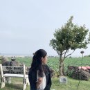 하예동-16 이미지