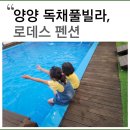 양양 로데스 풀빌라 | 강원도 양양펜션 로데스 독채풀빌라 개별수영장 스파 / 록시빌