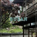 부산여행 : 일본식가옥 문화공감수정 ꔛ 부산빵지순례 비엔씨제과