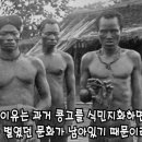 1800년대 말 콩고가 벨기에의 식민지였을 때 있었던 실화 이미지