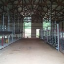 현석농장 이미지