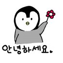 누벨에스테틱시스템 이미지