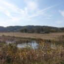 비봉인공습지 이미지