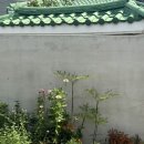 오뉴옥