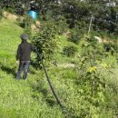 김삿갓면-35 이미지