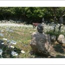 나절로미술관 이미지