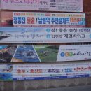 토곡 Daum카페