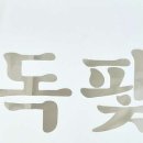 저는 까마귀였습니다