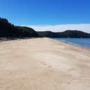 사구해수욕장2 이미지