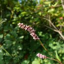 칠보중학교 이미지