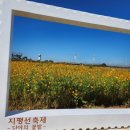 단야 이미지