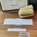 오브제-옥수수 이미지