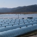 대암보건진료소 이미지