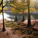 공중도시 이미지