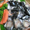 뚝지펜션 이미지