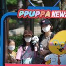 뿌빠노래타운 이미지